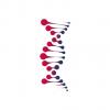 Redcliffe Labs's picture