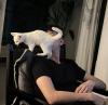 SilverWolfX's picture