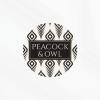 Peacock &amp; Owl's picture
