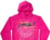 sp5der hoodie's picture
