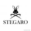 Stegaro jecket's picture