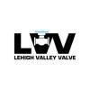 Lehigh Valley Valve's picture